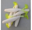 Amphitrite's Flash - Triton Paddle Tail